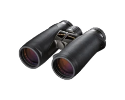 Nikon Jumelle EDG 8X42 DCF
