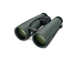 Swarovski Jumelle EL 10x50 W B Swarovision Vert